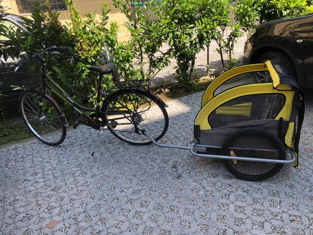 Bicicletta con carrello per bambini