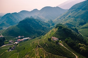 Colline del Prosecco